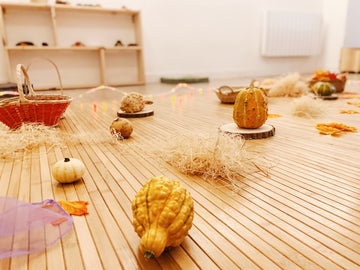 Mini artistes - Experimentació 2-5a