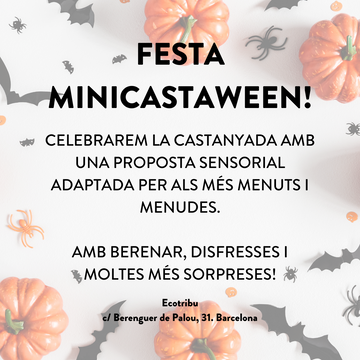 30/10 Festa Mini Castaween!