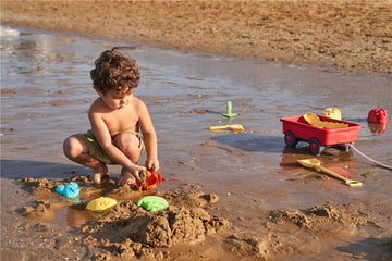 Moldes animales marinos para arena - Enfal toys