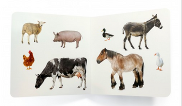 Cuento imágenes reales animales de la granja 2 - Nowordbooks