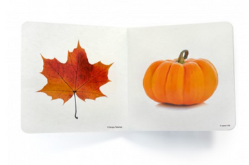 Cuentos imágenes reales color naranja - Nowordbooks