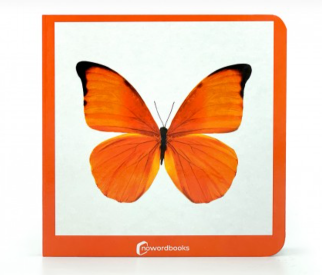 Cuentos imágenes reales color naranja - Nowordbooks