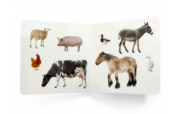Libro imágenes reales Animales de granja 2 - Nowordbooks