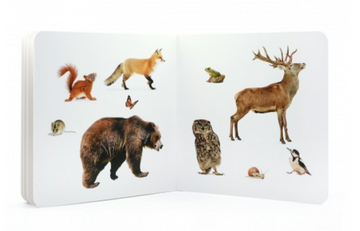 Libro imágenes reales Animales del bosque 2 - Nowordbooks