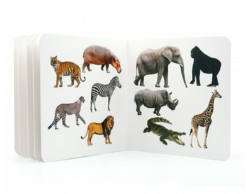 Cuento animales salvajes 3 de Nowordbooks