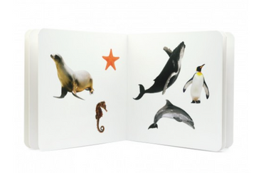 Libro imágenes reales Animales Marinos 2 - Nowordbooks