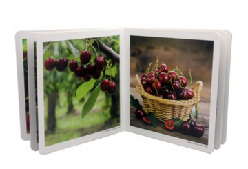 Libro imágenes reales Frutos del bosque - Nowordbooks