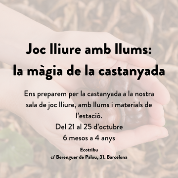 Joc lliure amb llums: la màgia de la castanyada!