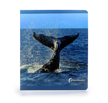 Cuento imágenes reales animales del mar Nowordbooks (gran formato)