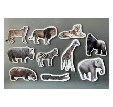 Imanes con imágenes reales de animales salvajes