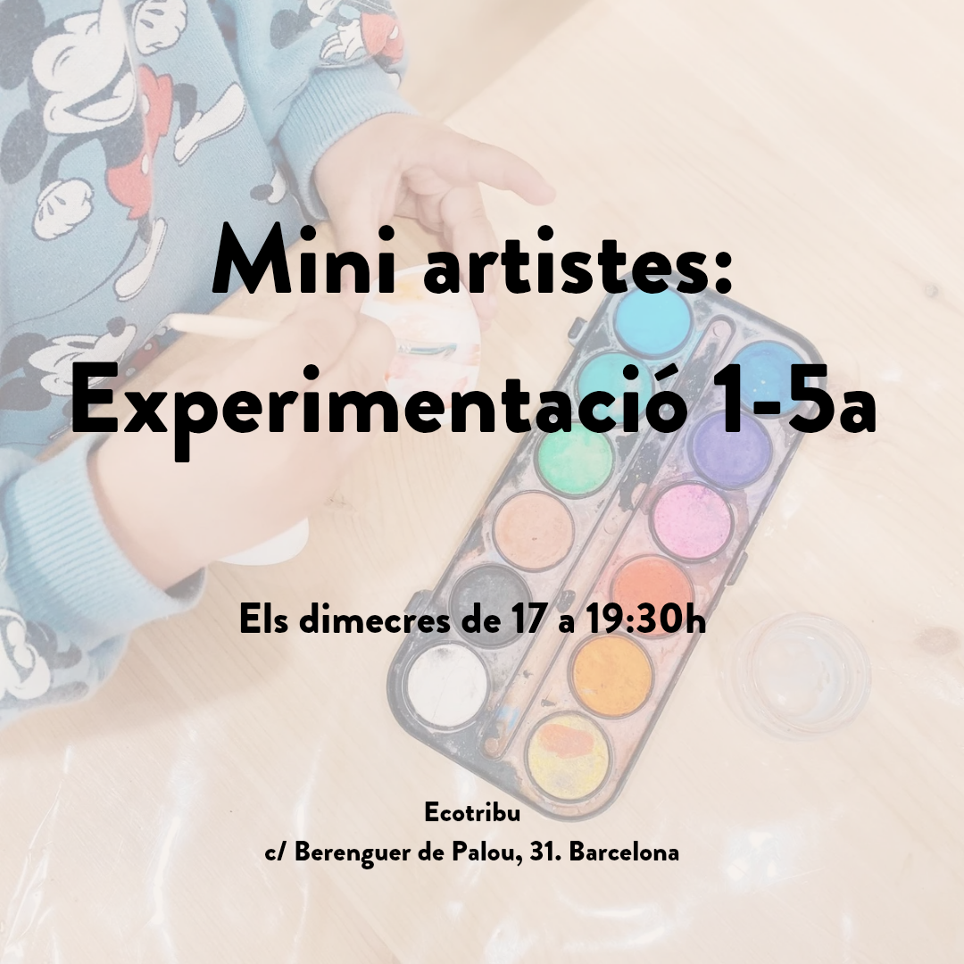 Mini artistes - Experimentació 1-5a