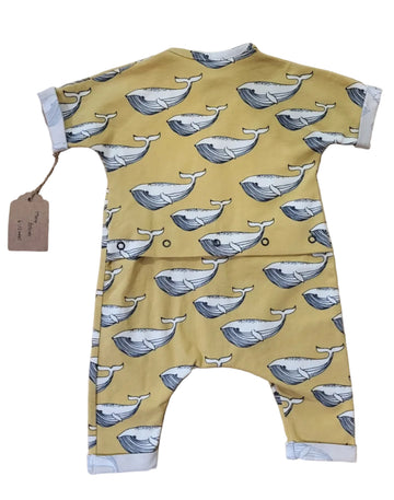 Mono de ballenas 6-12m - Petits Salvatges
