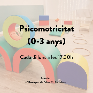 Psicomotricitat 0-3 anys